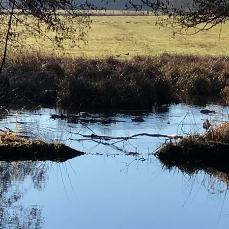 König`s Am Schlosspark Rheda-Wiedenbrück