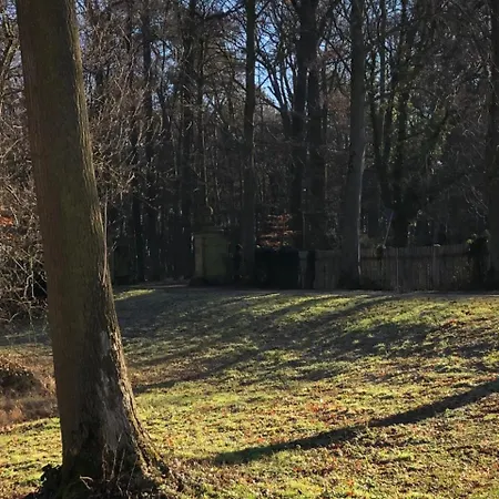 فندق Koenig's Am Schlosspark 4*