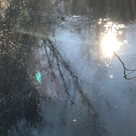 Koenig's Am Schlosspark מלון 4*
