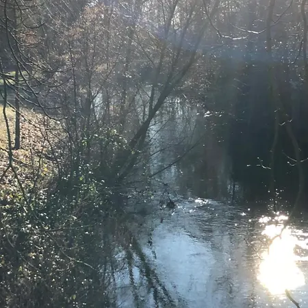 König`s Am Schlosspark