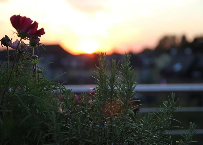 König`s Am Schlosspark 4*