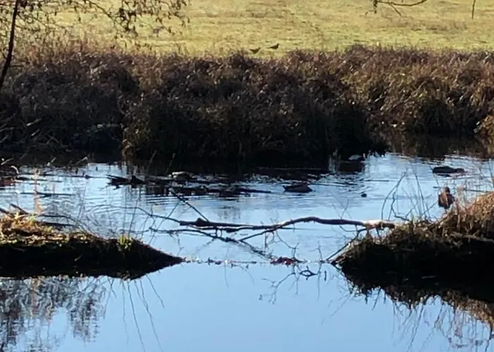 Koenig's Am Schlosspark Rheda-Wiedenbrück