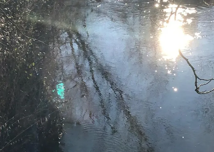 Koenig's Am Schlosspark Hotel 4*