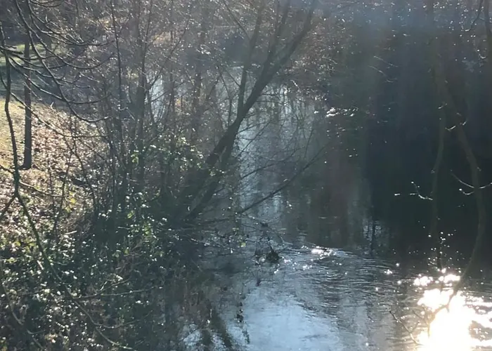 Koenig's Am Schlosspark